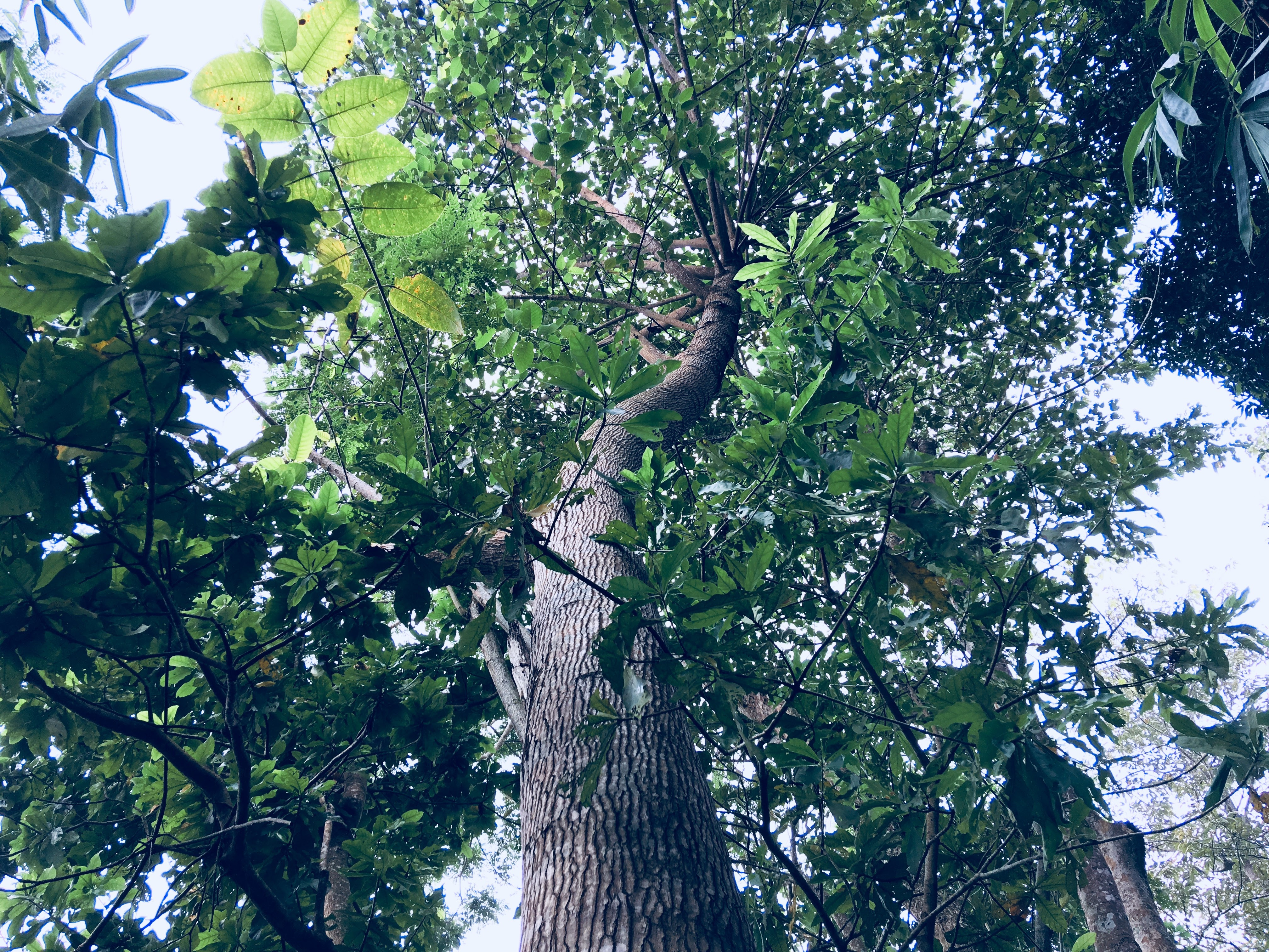 9 Habits to Grow in Grace in the New Year