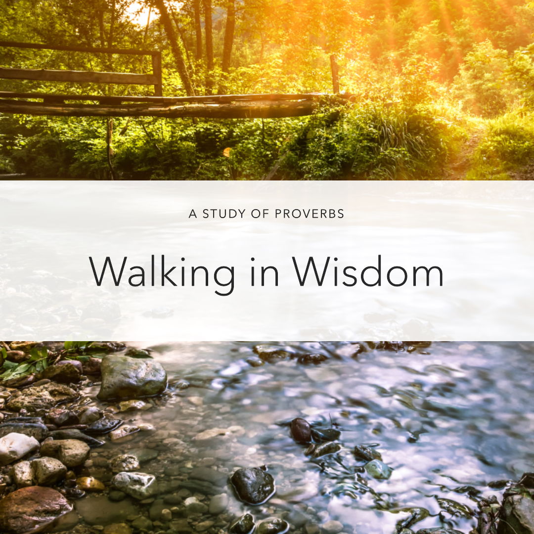 What Should Be My Greatest Desire? (Proverbs 8:1-11)