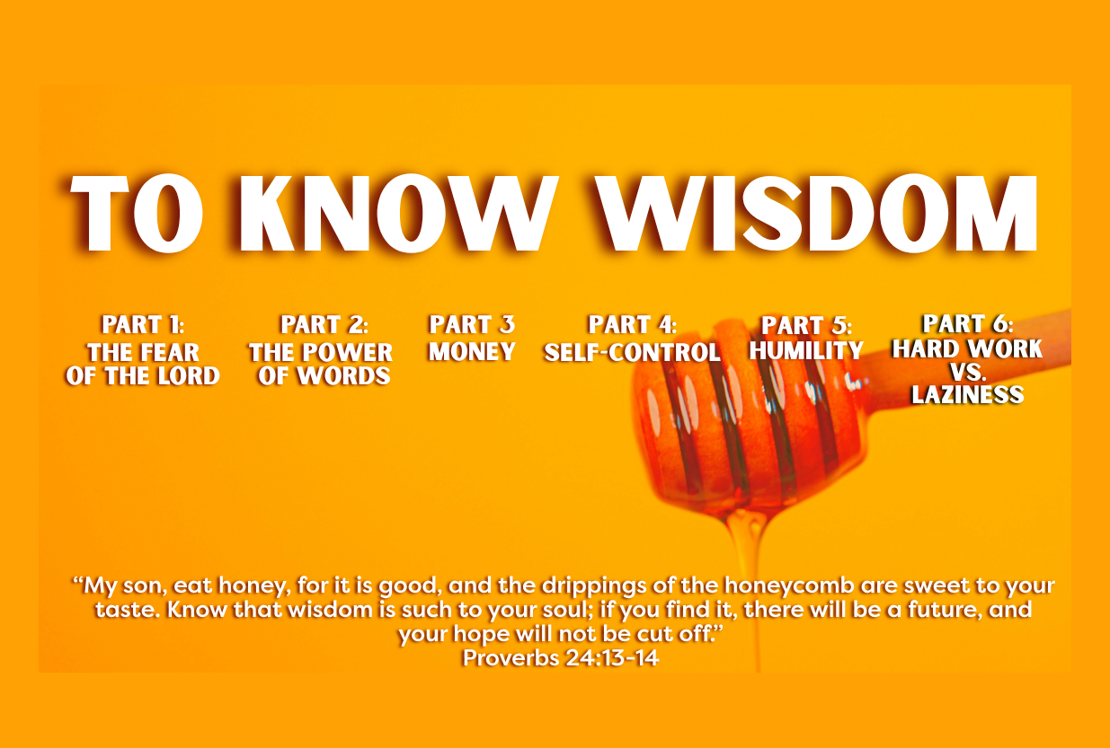 Money and Wisdom